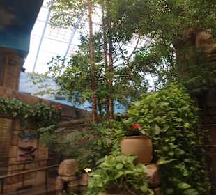 Im Mandala Bay Shark Aquarium