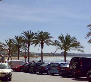 Blick von Can Pastilla nach Arenal