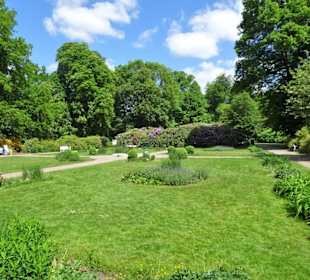 Im französischen Garten des Hirschparks