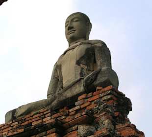 Buddha