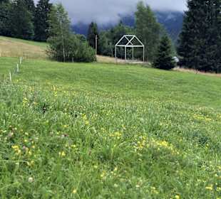 Wandern Sibratsgfäll