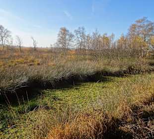 Hochmoorlandschaft um das Ewige Meer
