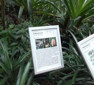 Tropicarium - Feuchte Tropen