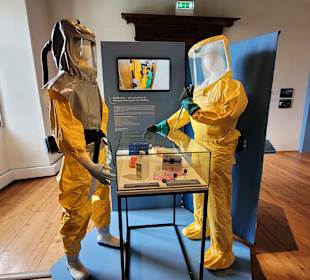 Forschung in der Medizin