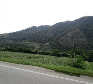 Valea Oltului / Olt-Tal 