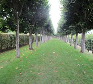  Schloss Villandry