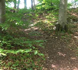 Premiumwanderweg "hochgelegen"