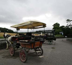Pferdekutschenfahrten (Jaunting Cars)