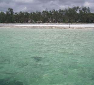 Ausflug Glasbodenboot Diani Beach
