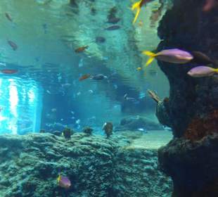 Zoo Wrocław