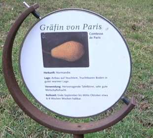 Birnenerlebnisweg Glems