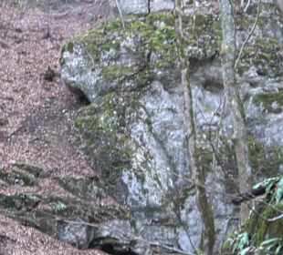 Wolfsschlucht