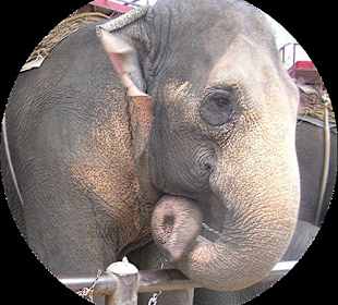 Hallo im Tropical Garden