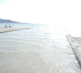 Strand Alcudia