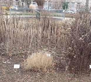 Noch im Winterschlaf