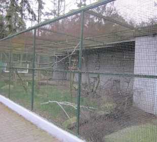 Vogelpark Kirrlach