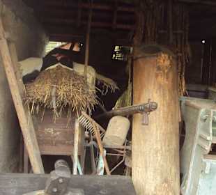 Skanzen a muzeum Moto a Vela