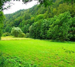 Auf-Abstieg Adlerstein Panorama