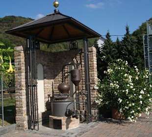 Mitten durch's Weingut