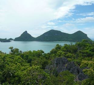 Ausblick vom grün-blauen See!