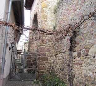 Historischer Ortskern Freinsheim