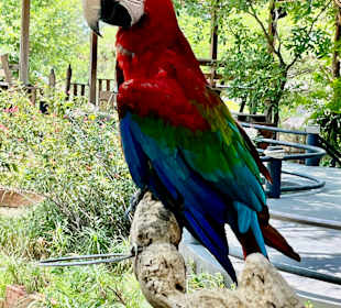 Khao Sam Roi Yot National Park