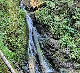 Wandern Hinterzarten