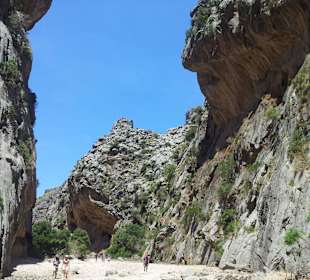 Narrow road for hiking 
