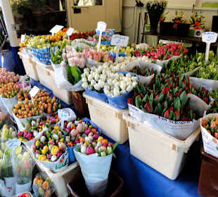 Eindrücke vom Bremer Blumenmarkt
