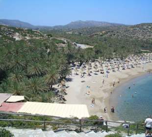 Palmen, Strand und Meer