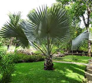 Rundgang durch den Jardin d´Eden