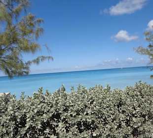 Im Bereich des National Parks