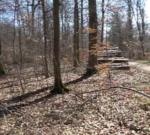 Geschichtlicher Lehrpfad Einsiedel