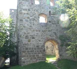 Burgruine Niederhaus