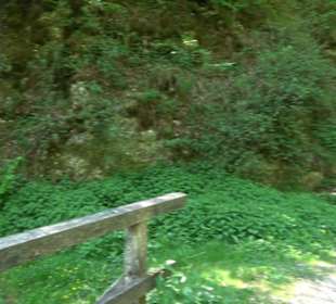 Premiumwanderweg Hochgehschätzt