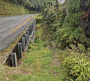 Forgotten World Highway
