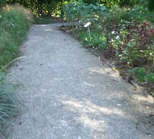 Botanischer Garten München