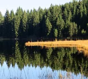 Schwimmende Inseln in herbstlicher Verfärbungr 