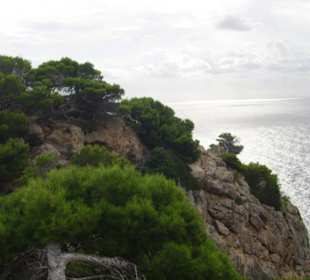 Faro Capdepera