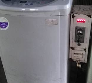 Mit Green-Mango Bangkok Touren das ursprüngliche BKK entdeck