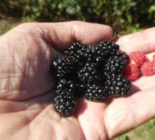 Bei unserer Wanderung zur Harlachberger-Spitze