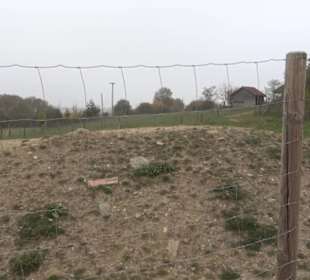 Erlebnisbauernhof und Wildgehege