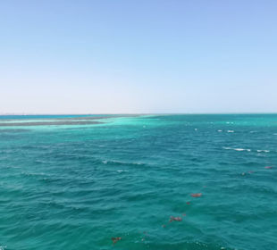 Red Sea