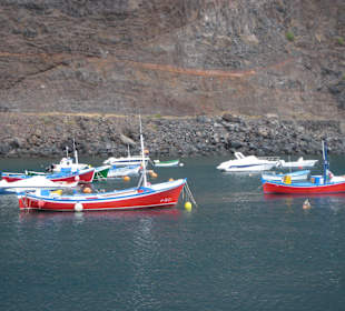 Warten auf  Whale- watching