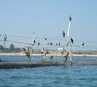 Bootsfahrt Teil 3...