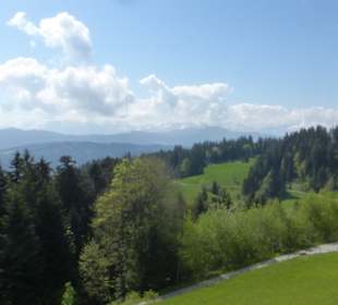 Ausblick vom Pfänder