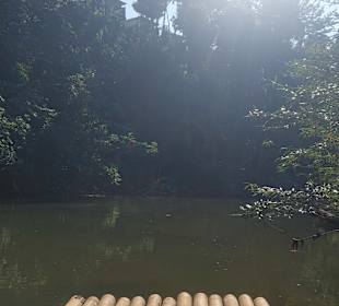 Fahrt mit dem Bambusfloss