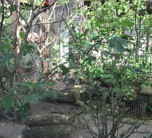 Zoo Heidelberg