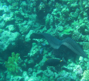 Moräne unter Wasser