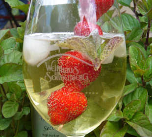 So schmeckt der Sommer in der Pfalz